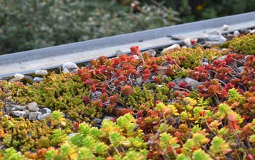 the cost of Balintore green roof installation