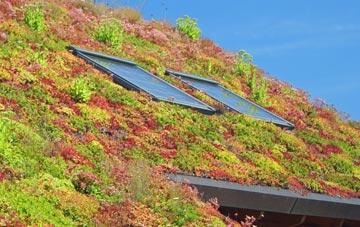Balintore living roof systems