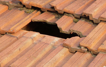 roof repair Balintore