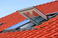 Balintore roof window