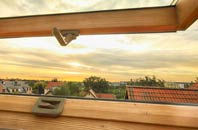rated Balintore roof window companies